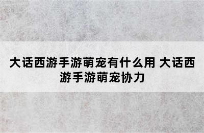 大话西游手游萌宠有什么用 大话西游手游萌宠协力